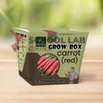 Gro Box Carrots